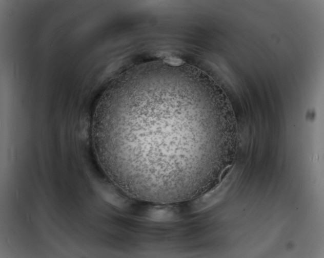 X0000101480175200807141423