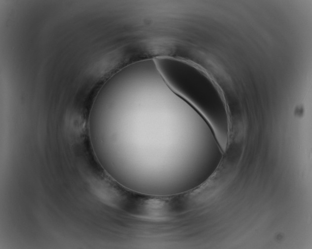 X0000101480176200807141423