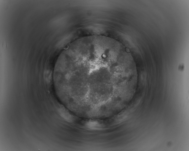 X0000101480177200807141423