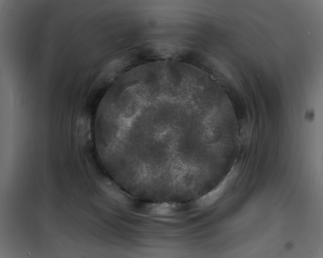 X0000101480182200807141424