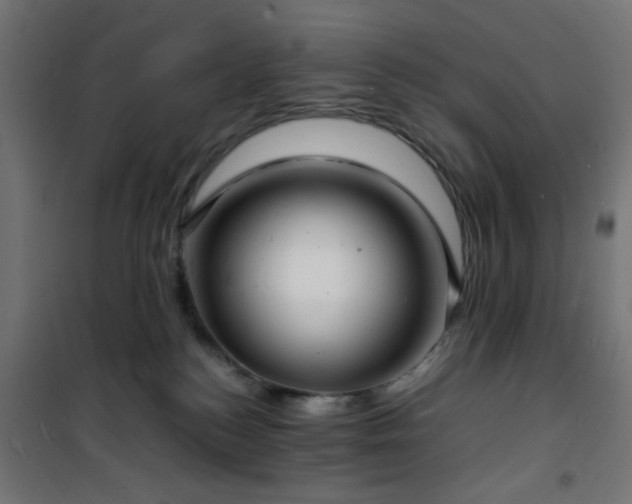 X0000101480184200807141424