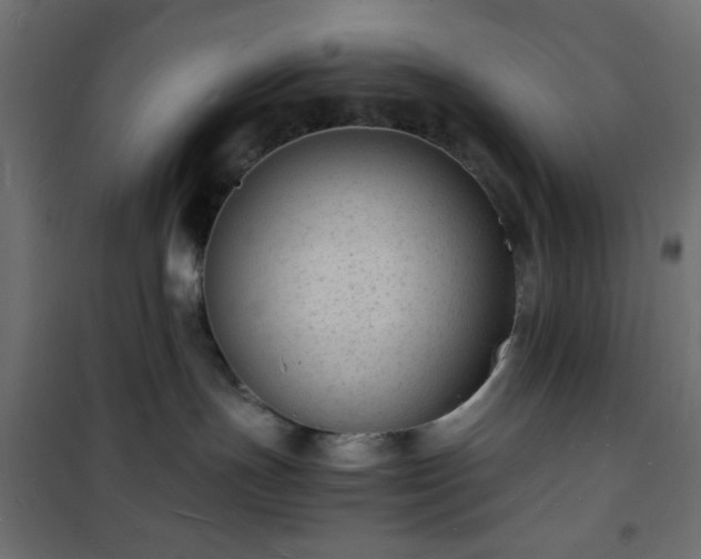 X0000101480191200807141424