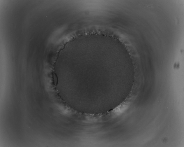 X0000101480192200807141424