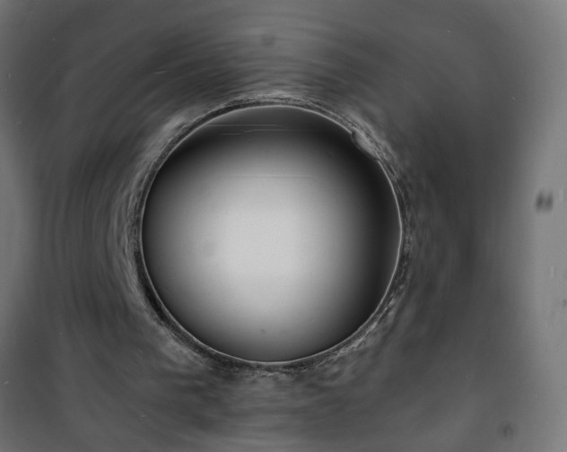 X0000101480193200807141423