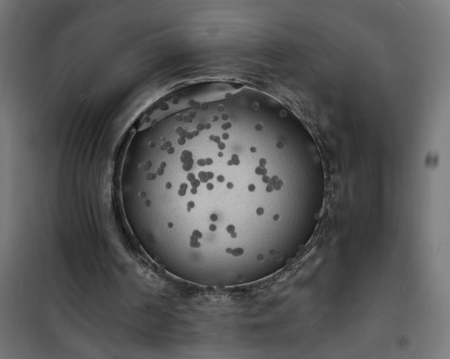 X0000101480194200807141423