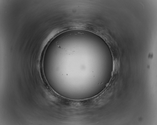 X0000101480195200807141423