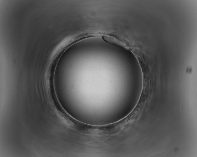 X0000101480197200807141423