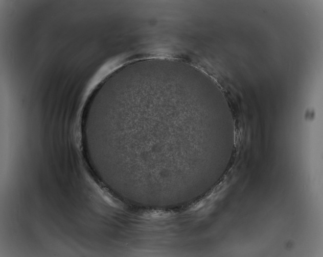 X0000101480198200807141423