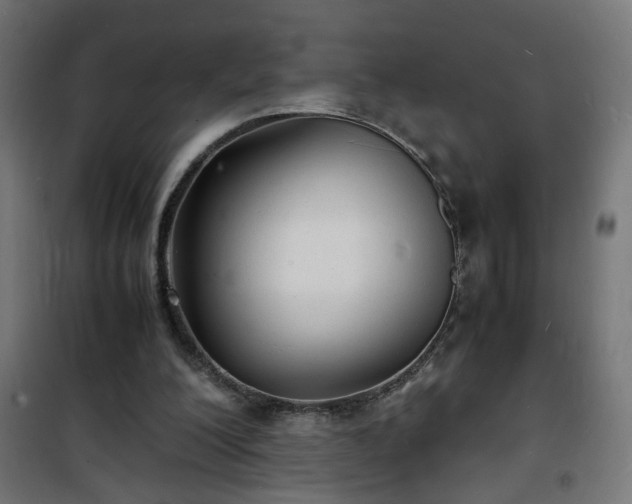 X0000101480200200807141423