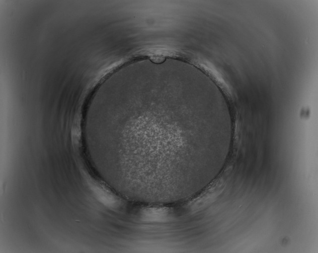 X0000101480202200807141423