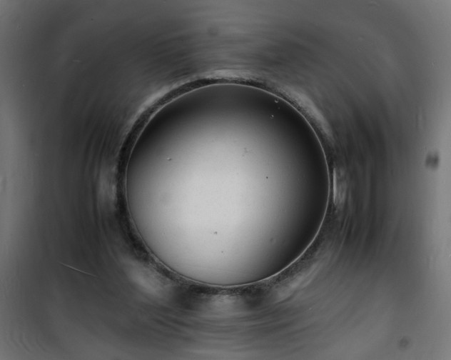 X0000101480204200807141423