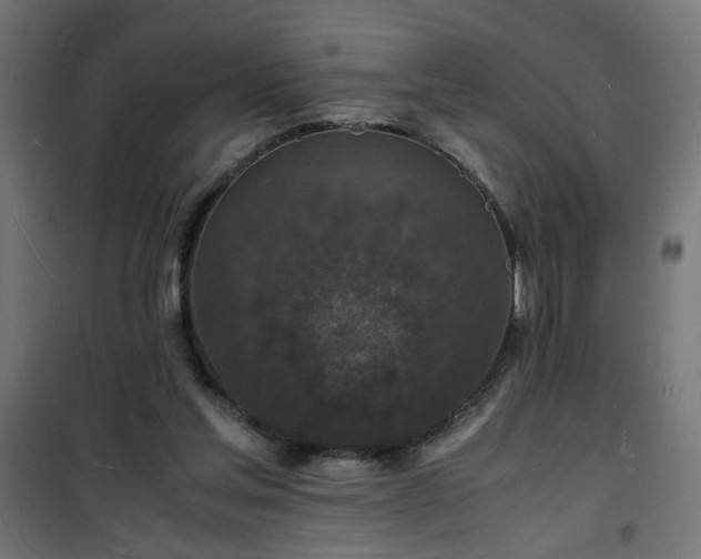 X0000101480205200807141423