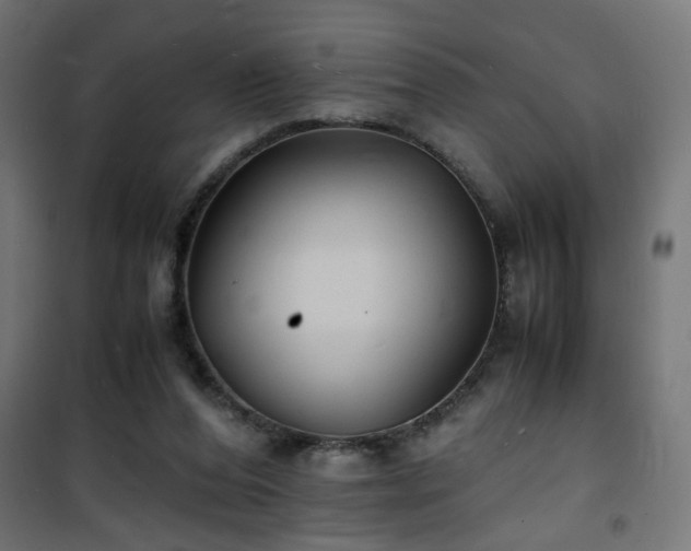 X0000101480208200807141423