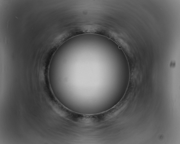 X0000101480209200807141423