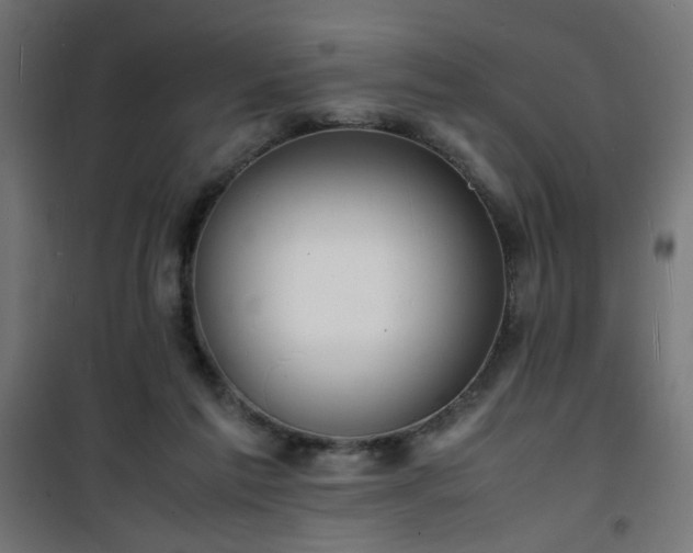 X0000101480213200807141423