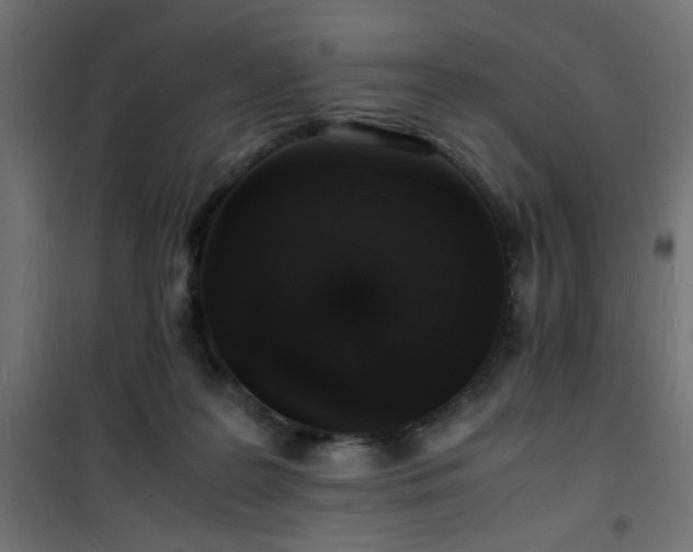 X0000101480219200807141422