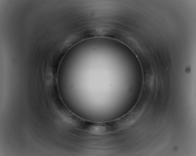 X0000101480220200807141422