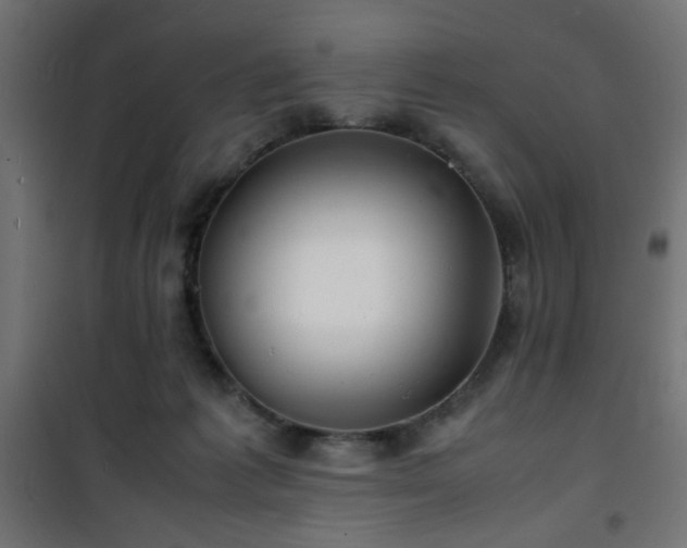 X0000101480221200807141422