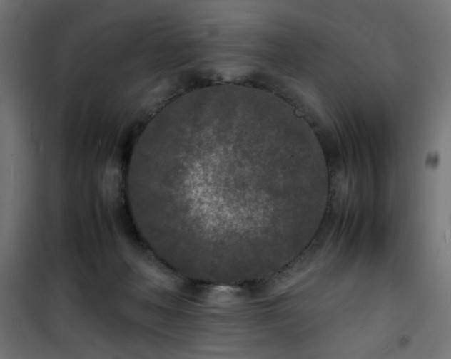 X0000101480222200807141422