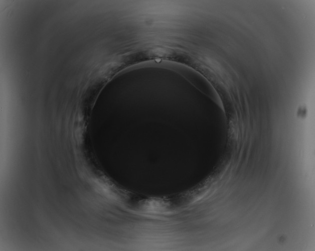 X0000101480223200807141422