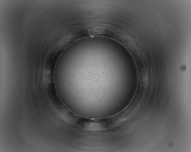 X0000101480224200807141422