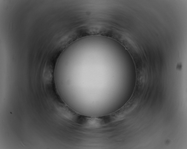 X0000101480226200807141422