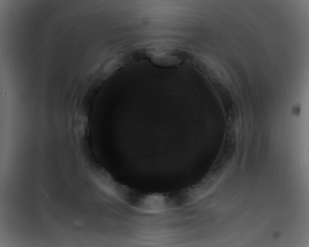 X0000101480227200807141422