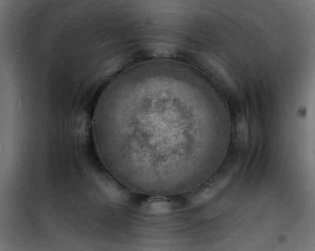 X0000101480228200807141422