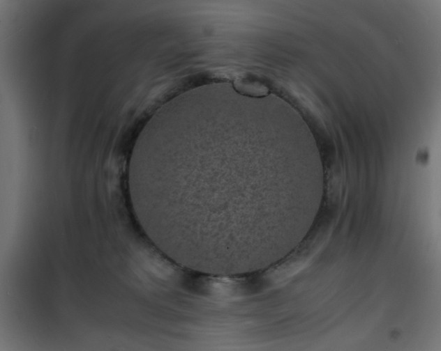 X0000101480229200807141422