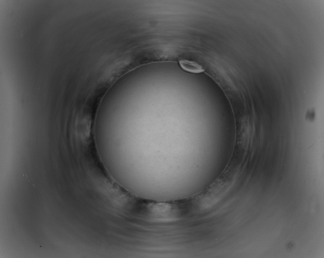 X0000101480230200807141422