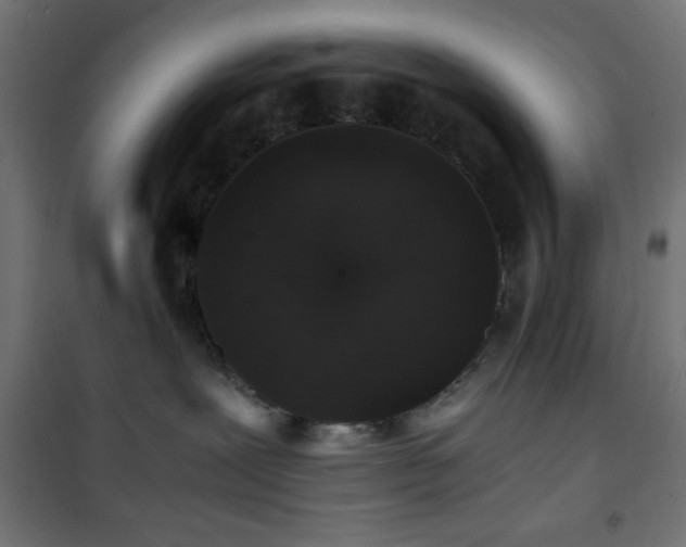 X0000101480239200807141422