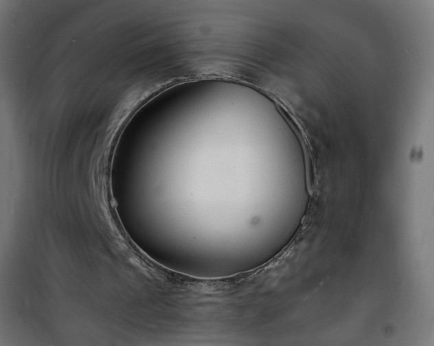 X0000101480241200807141421