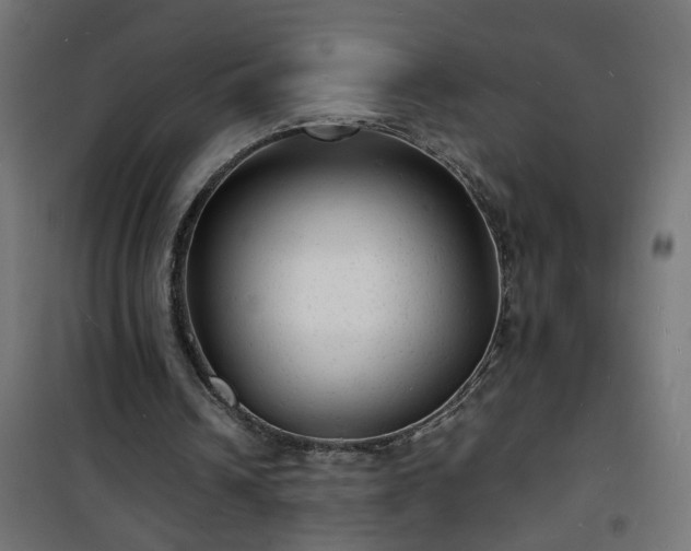 X0000101480242200807141421