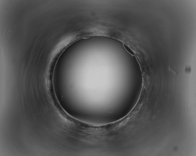 X0000101480245200807141421