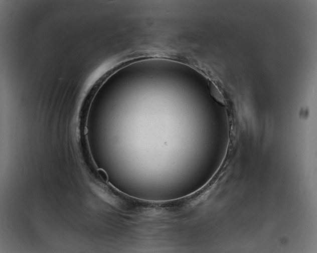 X0000101480246200807141421