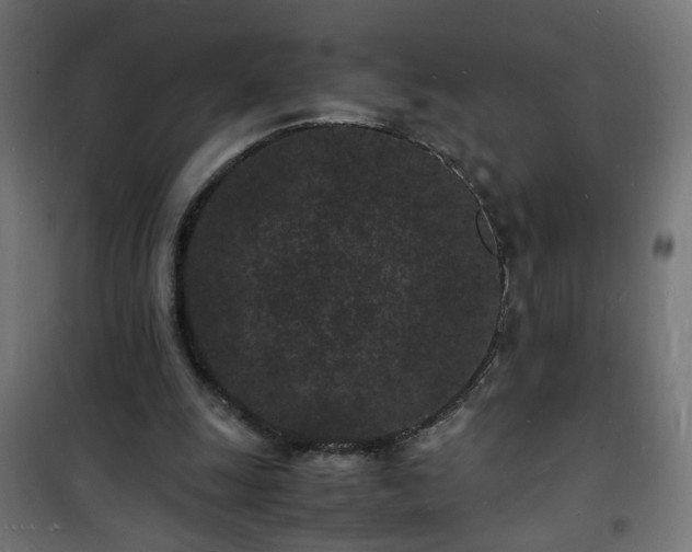 X0000101480247200807141421