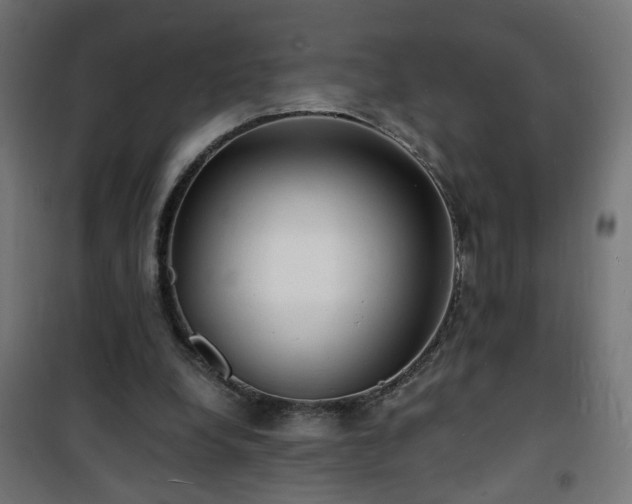 X0000101480248200807141421