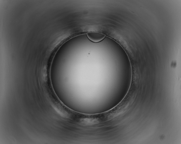 X0000101480251200807141421