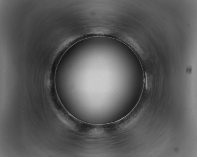 X0000101480252200807141421