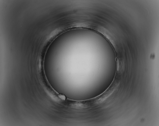 X0000101480253200807141421