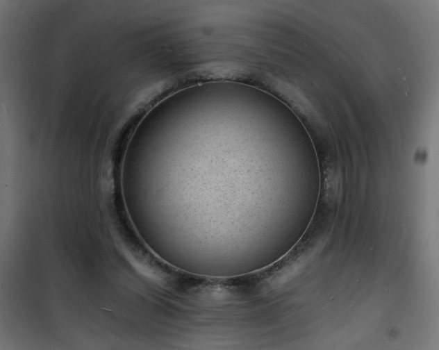 X0000101480254200807141421