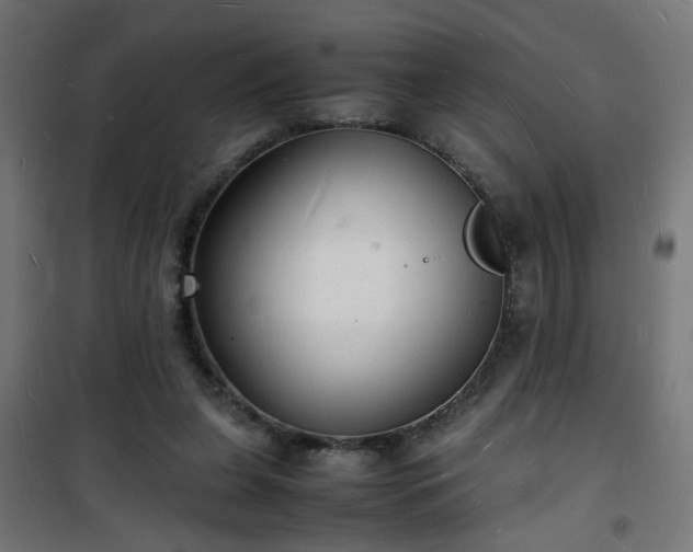 X0000101480255200807141421