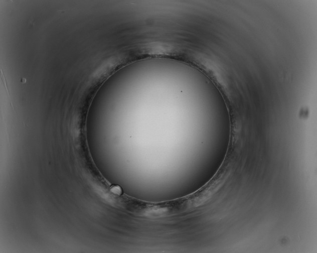 X0000101480257200807141421