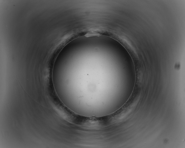 X0000101480260200807141421