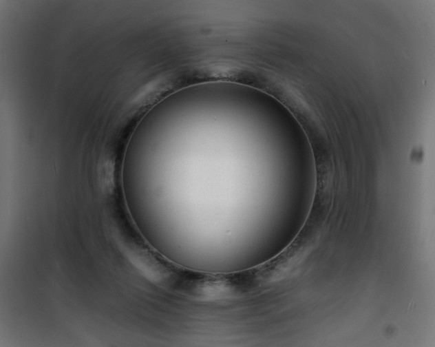 X0000101480262200807141421