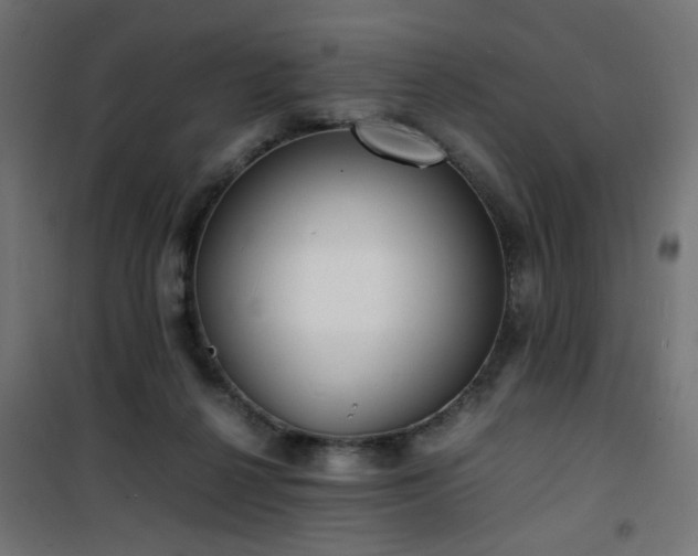 X0000101480264200807141422