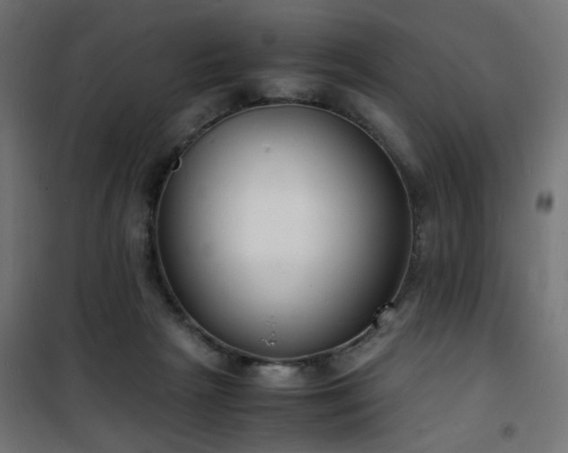 X0000101480265200807141422