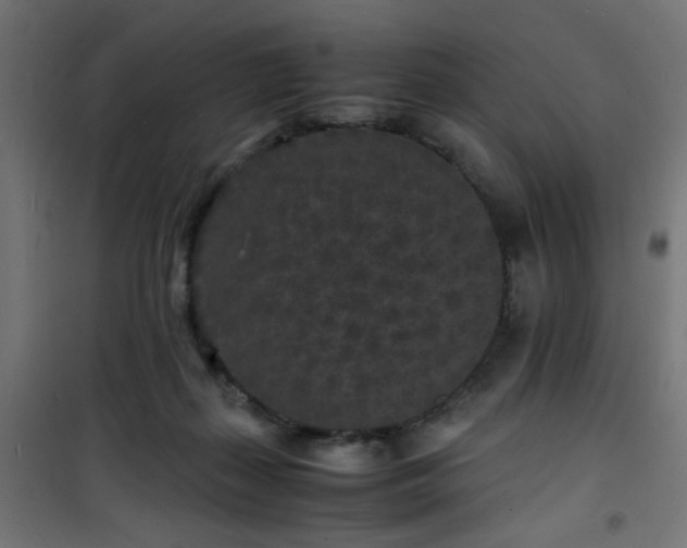 X0000101480267200807141422