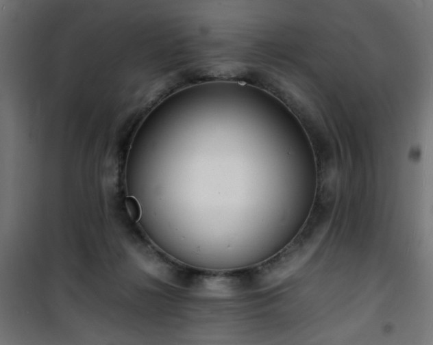 X0000101480268200807141422