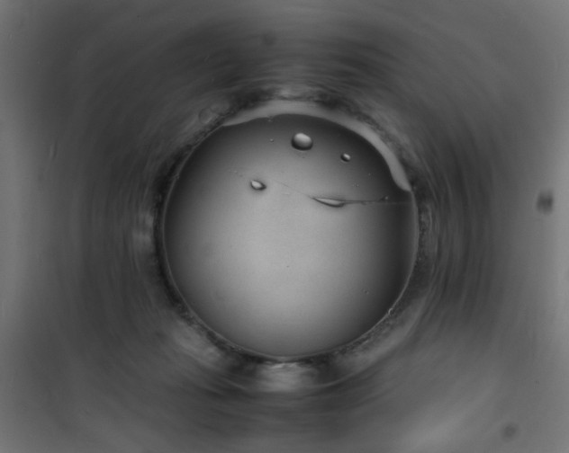 X0000101480269200807141422